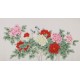 Peony - CNAG004098