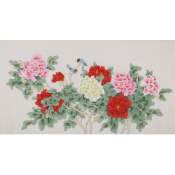 Peony - CNAG004098