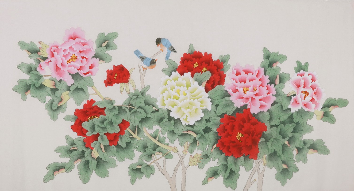 Peony - CNAG004098