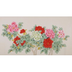 Peony - CNAG004099
