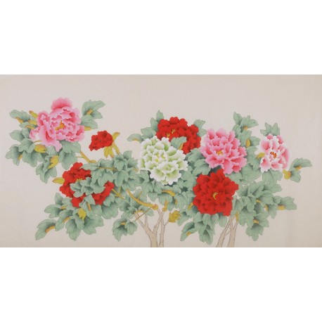 Peony - CNAG004099
