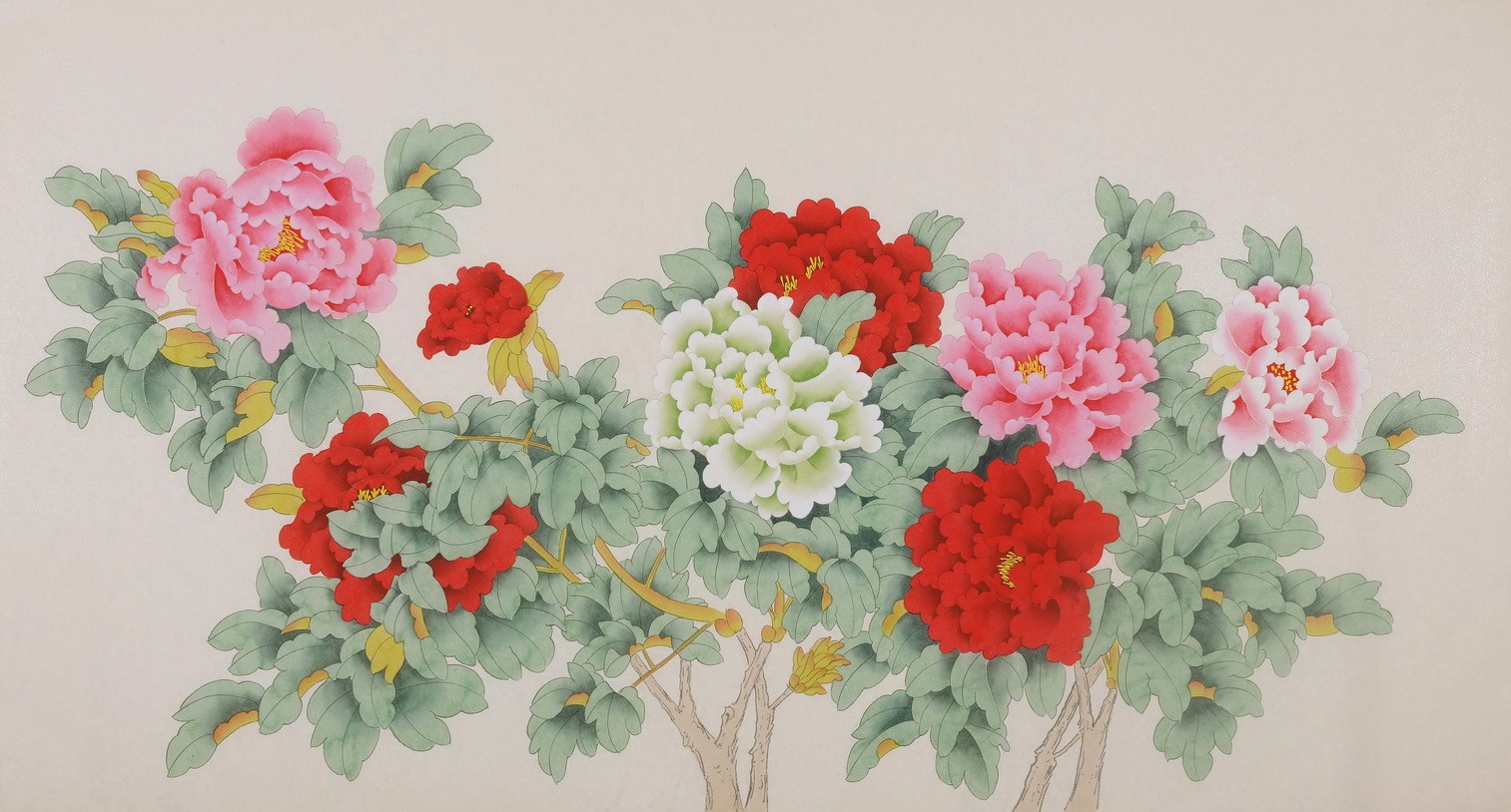 Peony - CNAG004099