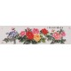 Peony - CNAG004104
