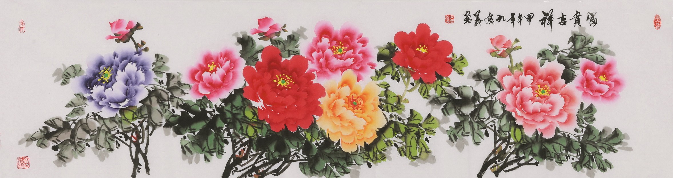Peony - CNAG004104