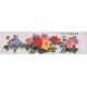 Peony - CNAG004105