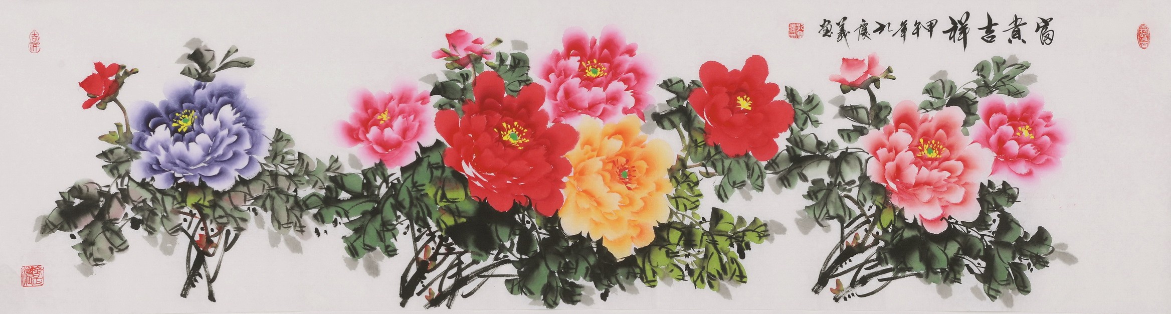 Peony - CNAG004105