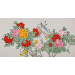 Peony - CNAG004112