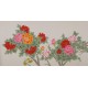 Peony - CNAG004115