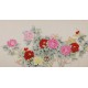Peony - CNAG004116