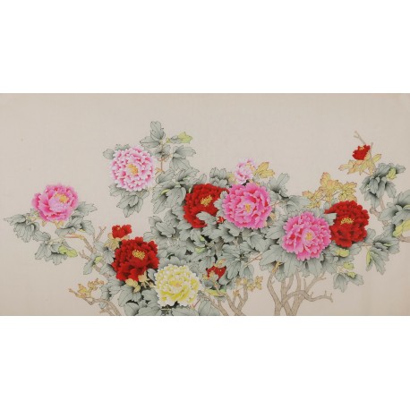 Peony - CNAG004116