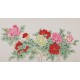 Peony - CNAG004117