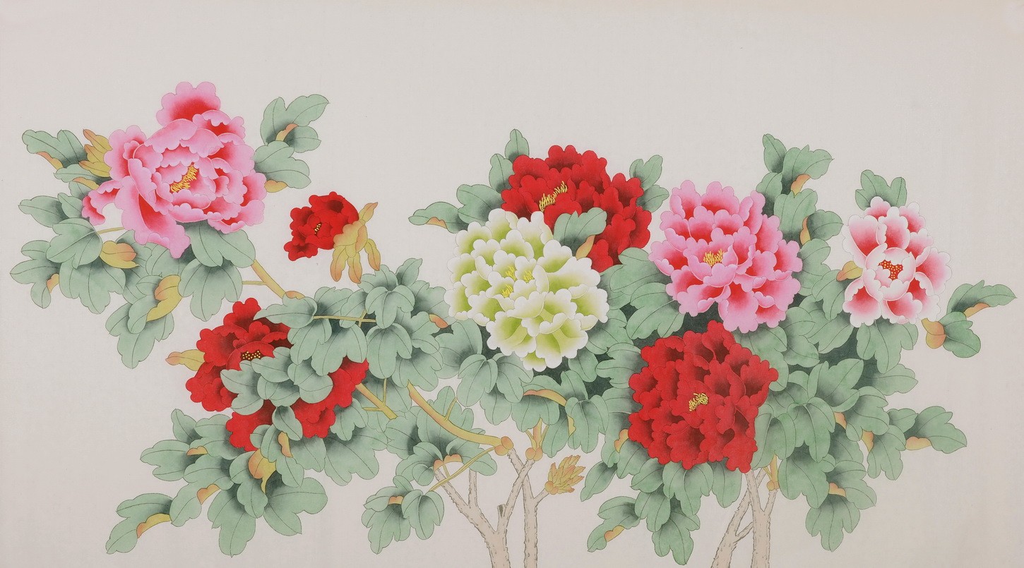 Peony - CNAG004117