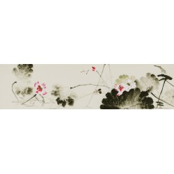 Lotus - CNAG004126