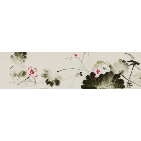 Lotus - CNAG004126