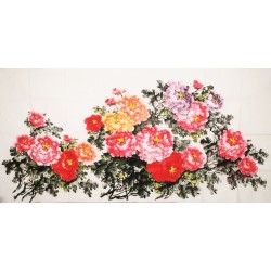 Peony - CNAG004128