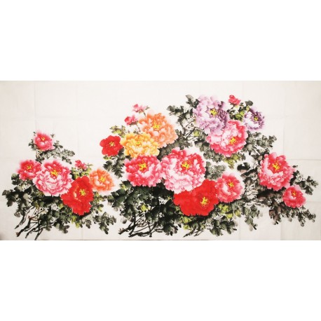 Peony - CNAG004128