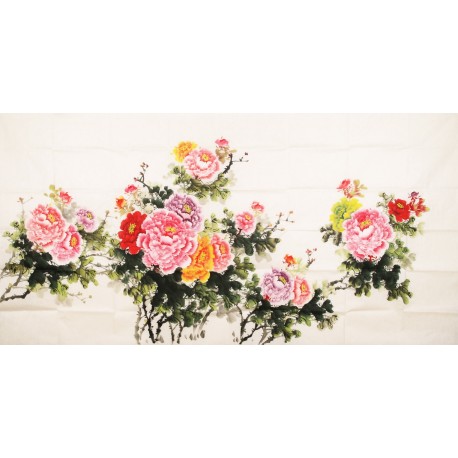 Peony - CNAG004129