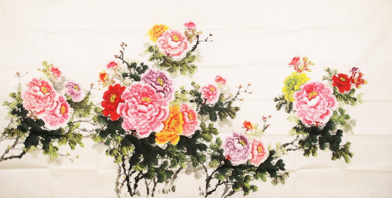 Peony - CNAG004129