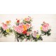 Peony - CNAG004130