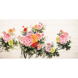 Peony - CNAG004130