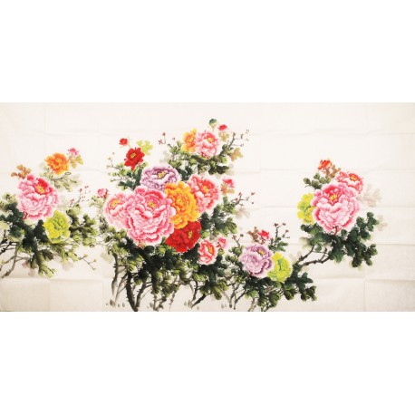Peony - CNAG004130