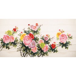 Peony - CNAG004131