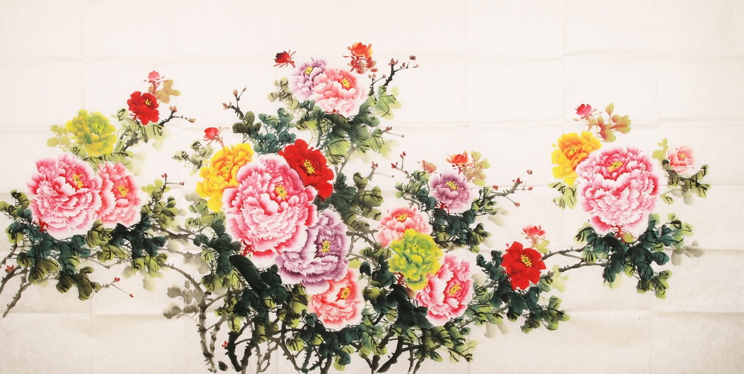 Peony - CNAG004131