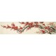 Plum - CNAG004132