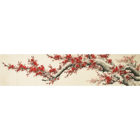 Plum - CNAG004132