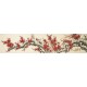 Plum - CNAG004133