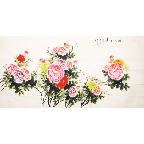 Peony - CNAG004135