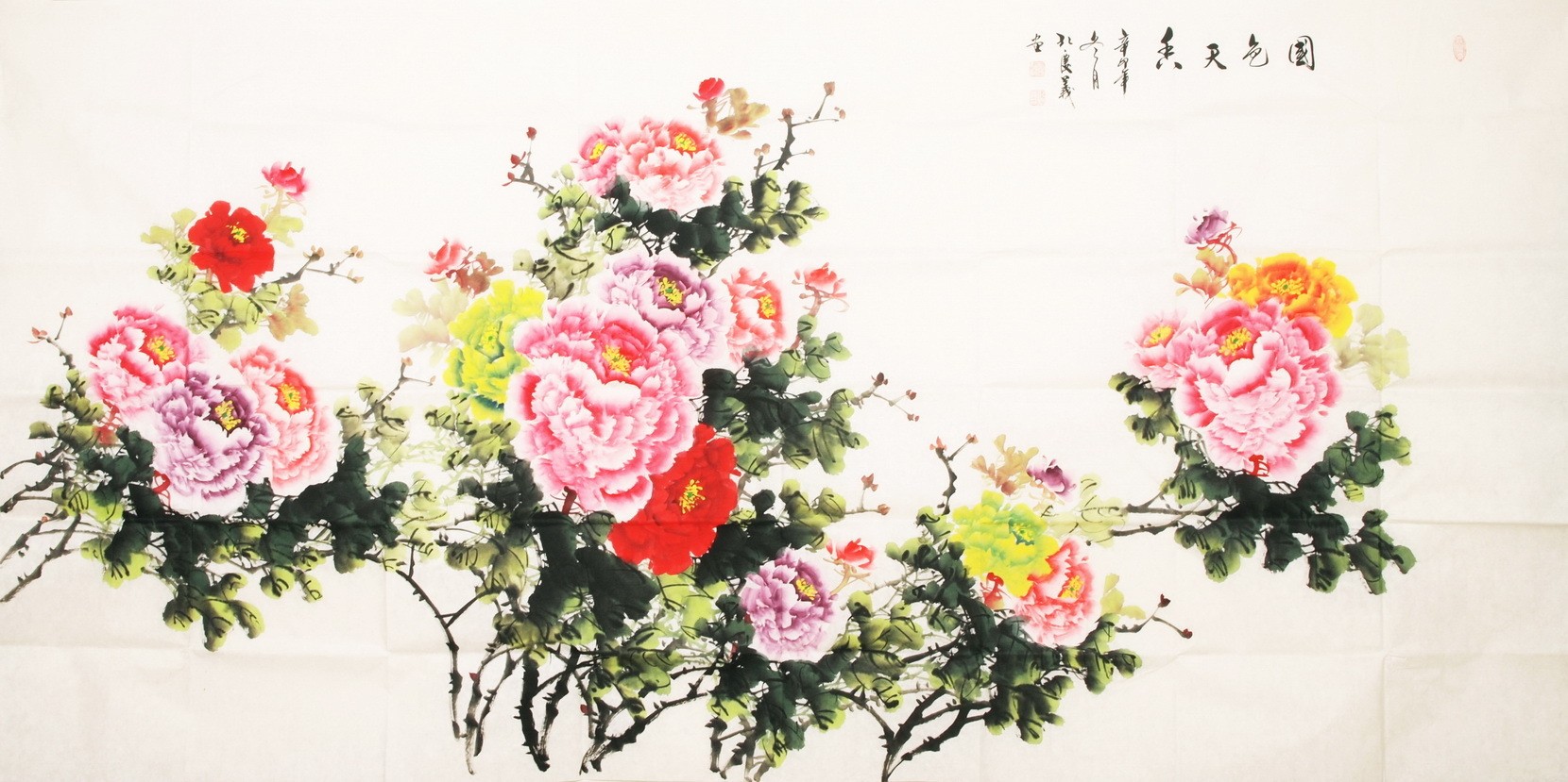 Peony - CNAG004135