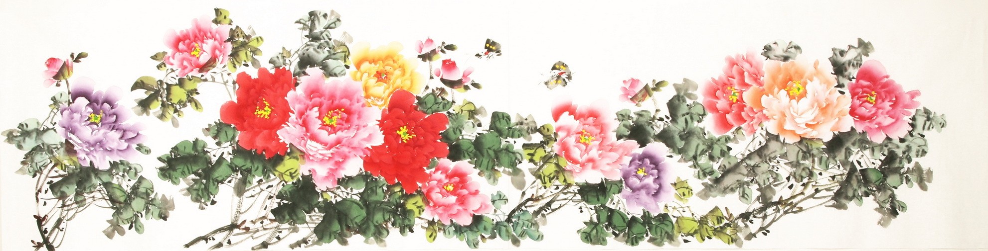Peony - CNAG004136