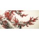 Plum - CNAG004137