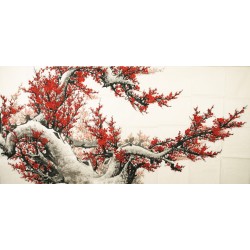 Plum - CNAG004137
