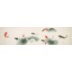Fish - CNAG004138