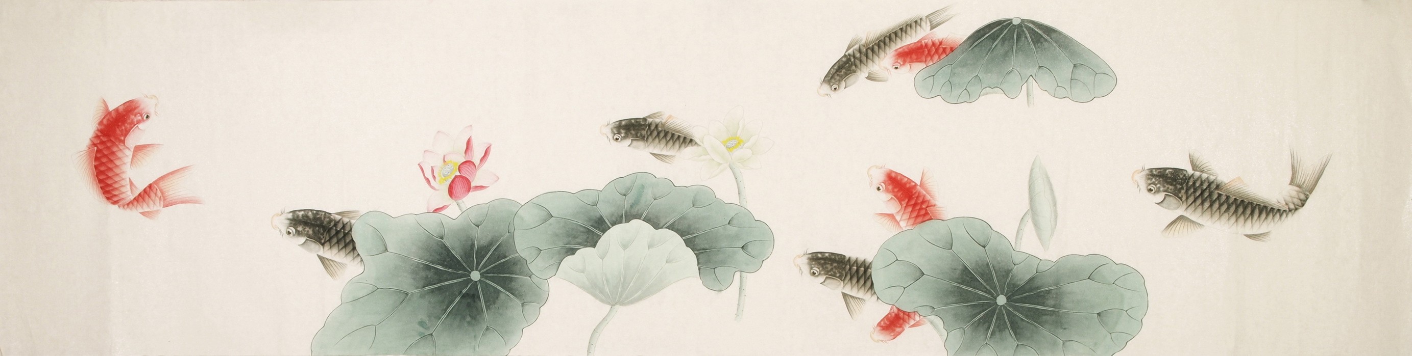Fish - CNAG004138
