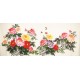 Peony - CNAG004140