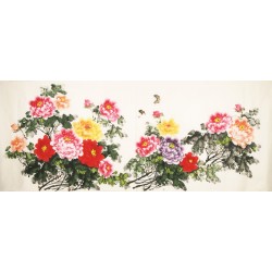 Peony - CNAG004140