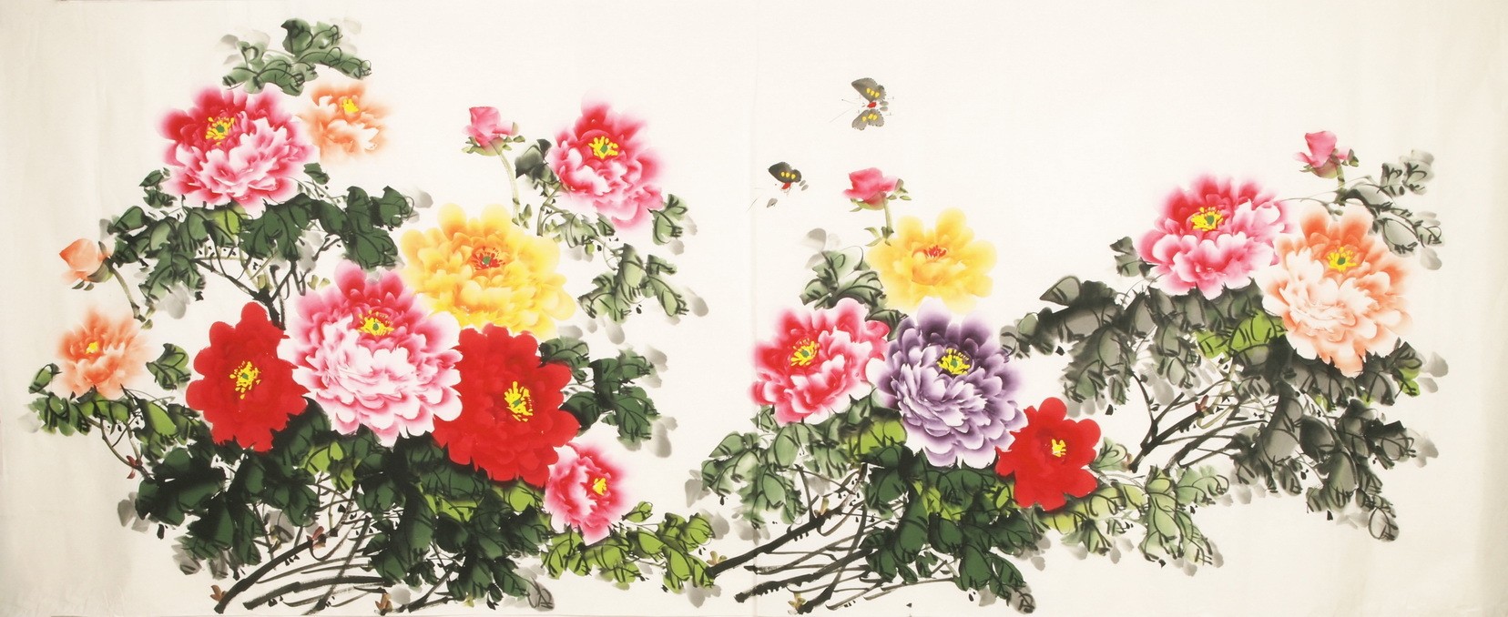 Peony - CNAG004140