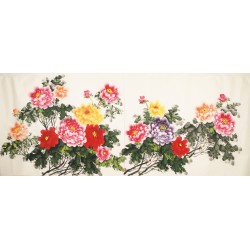 Peony - CNAG004141