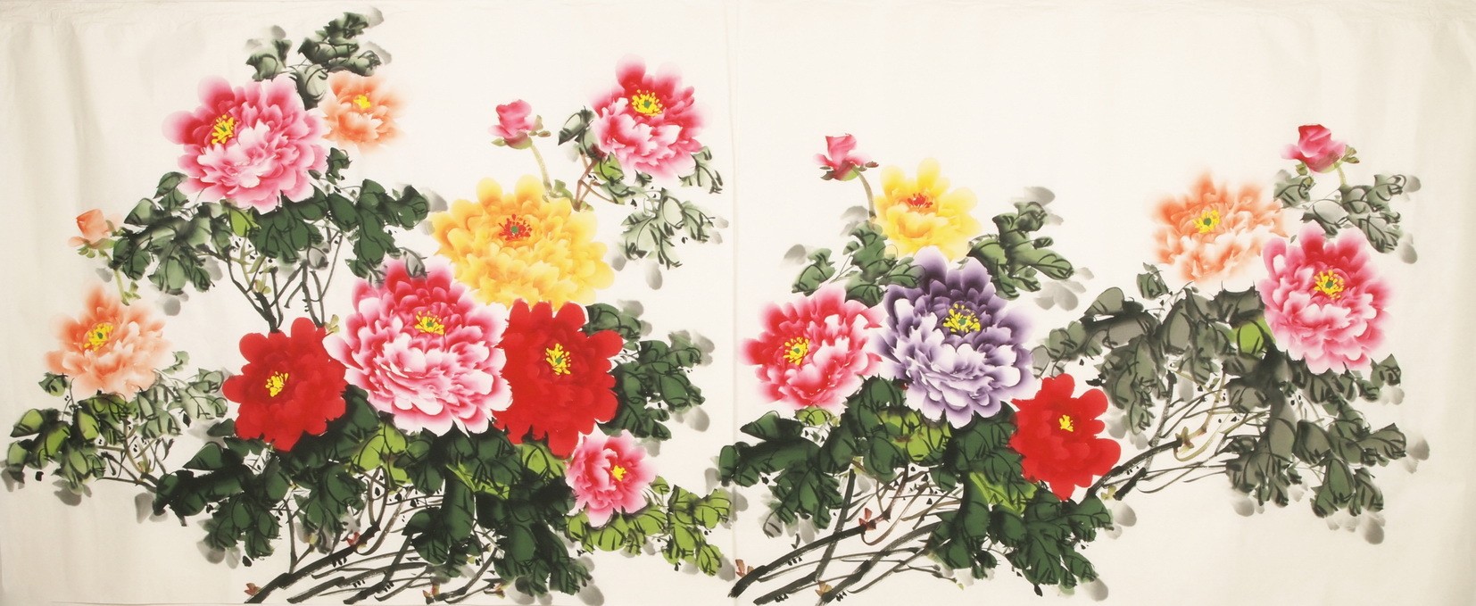 Peony - CNAG004141