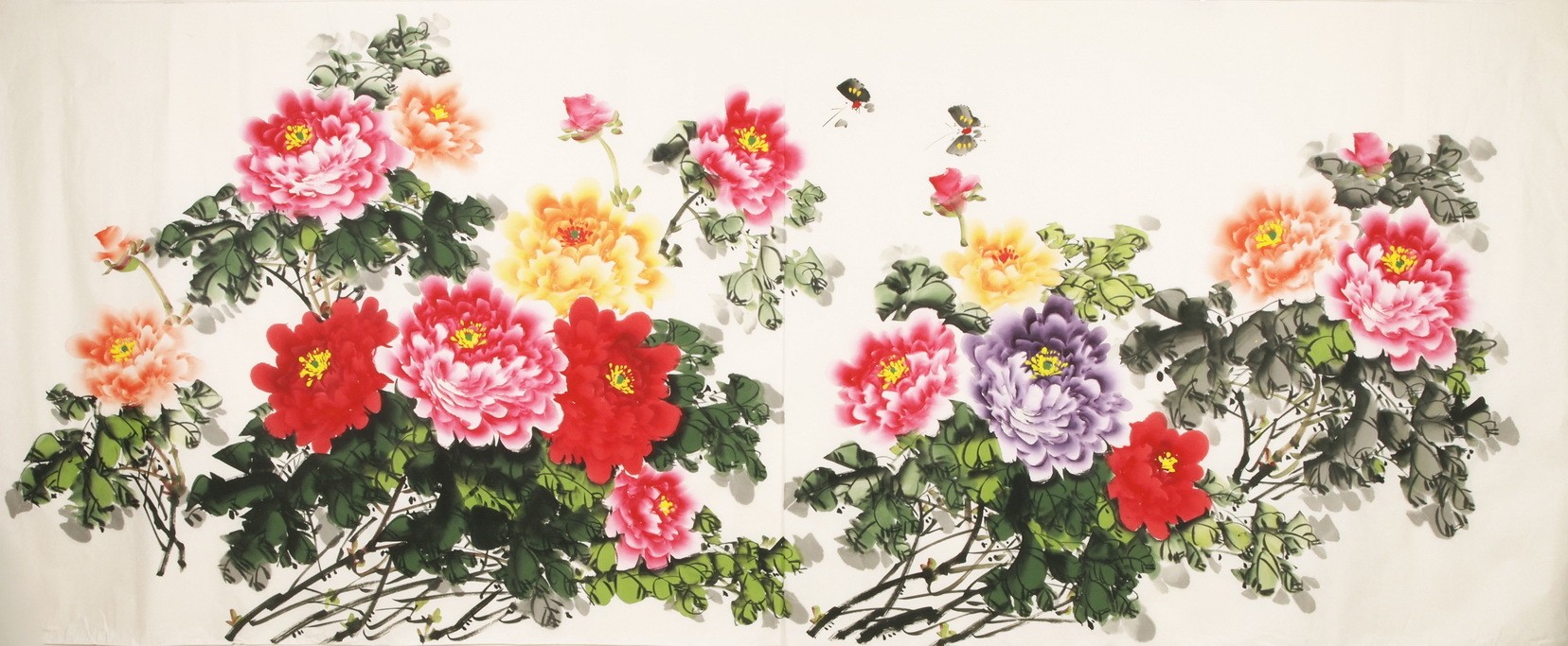Peony - CNAG004142