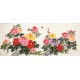 Peony - CNAG004143