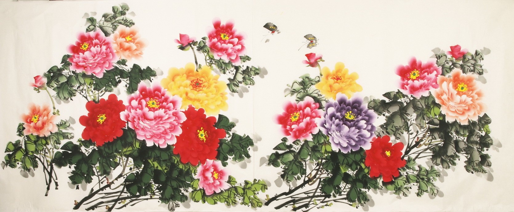 Peony - CNAG004143