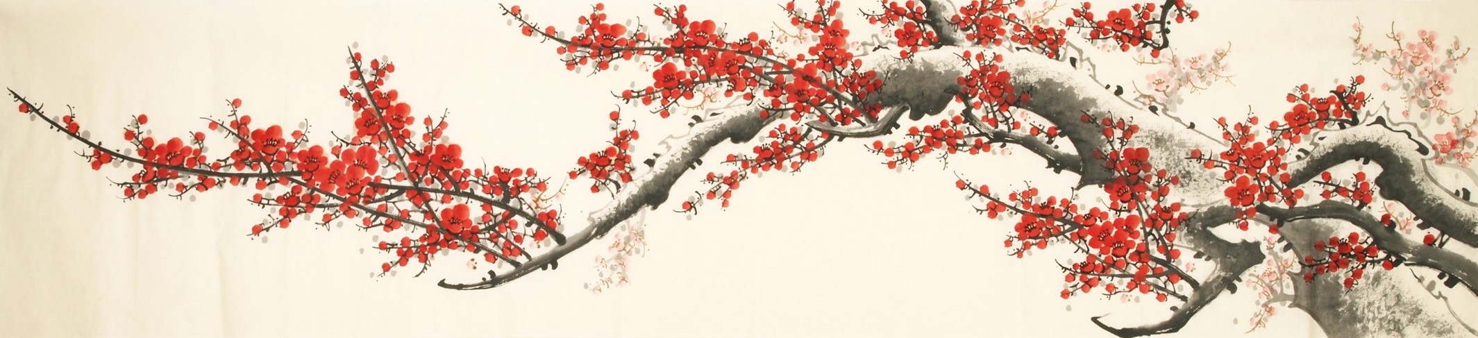 Plum - CNAG004144 Plum - CNAG004144