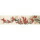 Plum - CNAG004145