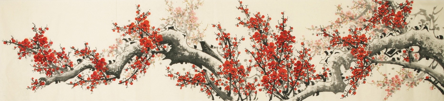 Plum - CNAG004145