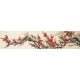 Plum - CNAG004146
