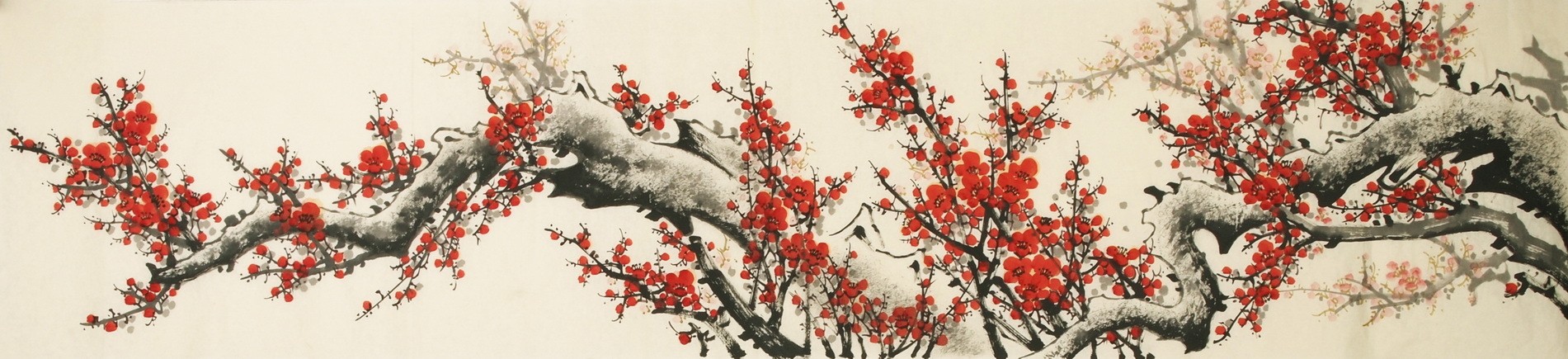 Plum - CNAG004146
